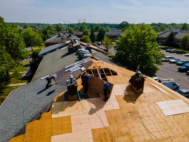 Best Residential Roofing Contractor  in Rossville, IN