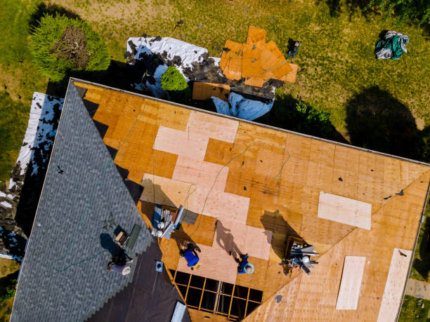 Best Shingle Roofing Installation  in Rossville, IN