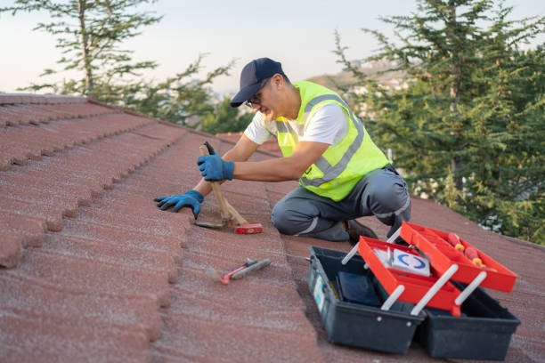 Best Roof Repair Services  in Rossville, IN