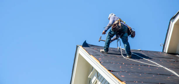 Best Local Roofing Companies  in Rossville, IN
